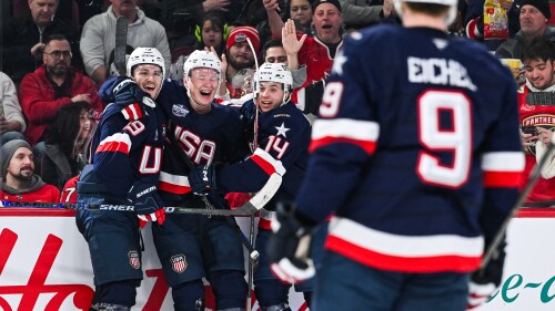 案例展示六